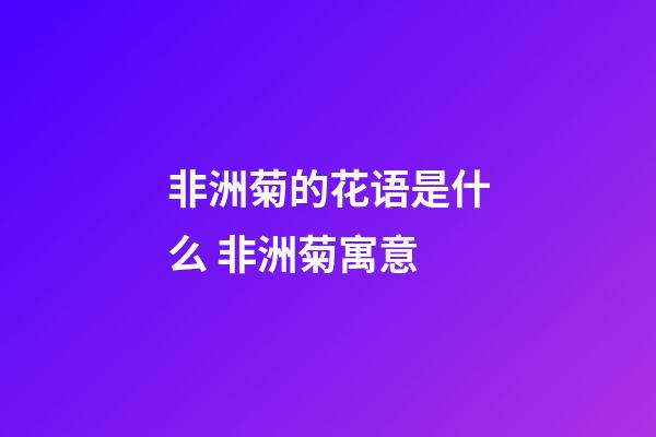 非洲菊的花语是什么 非洲菊寓意
